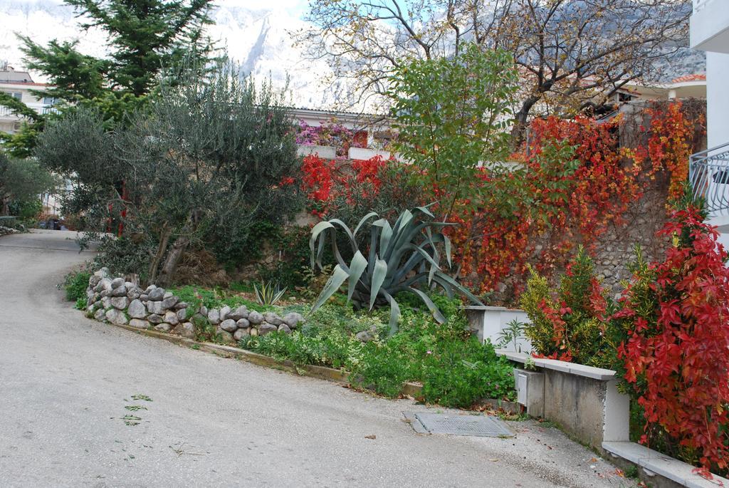 Apartments Paunovic Makarska Exterior photo